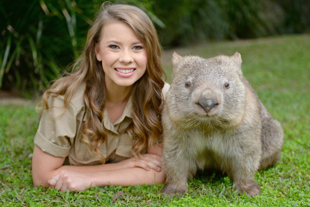 australia zoo guided tours