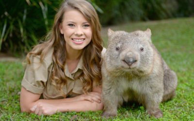 Visit Australia Zoo