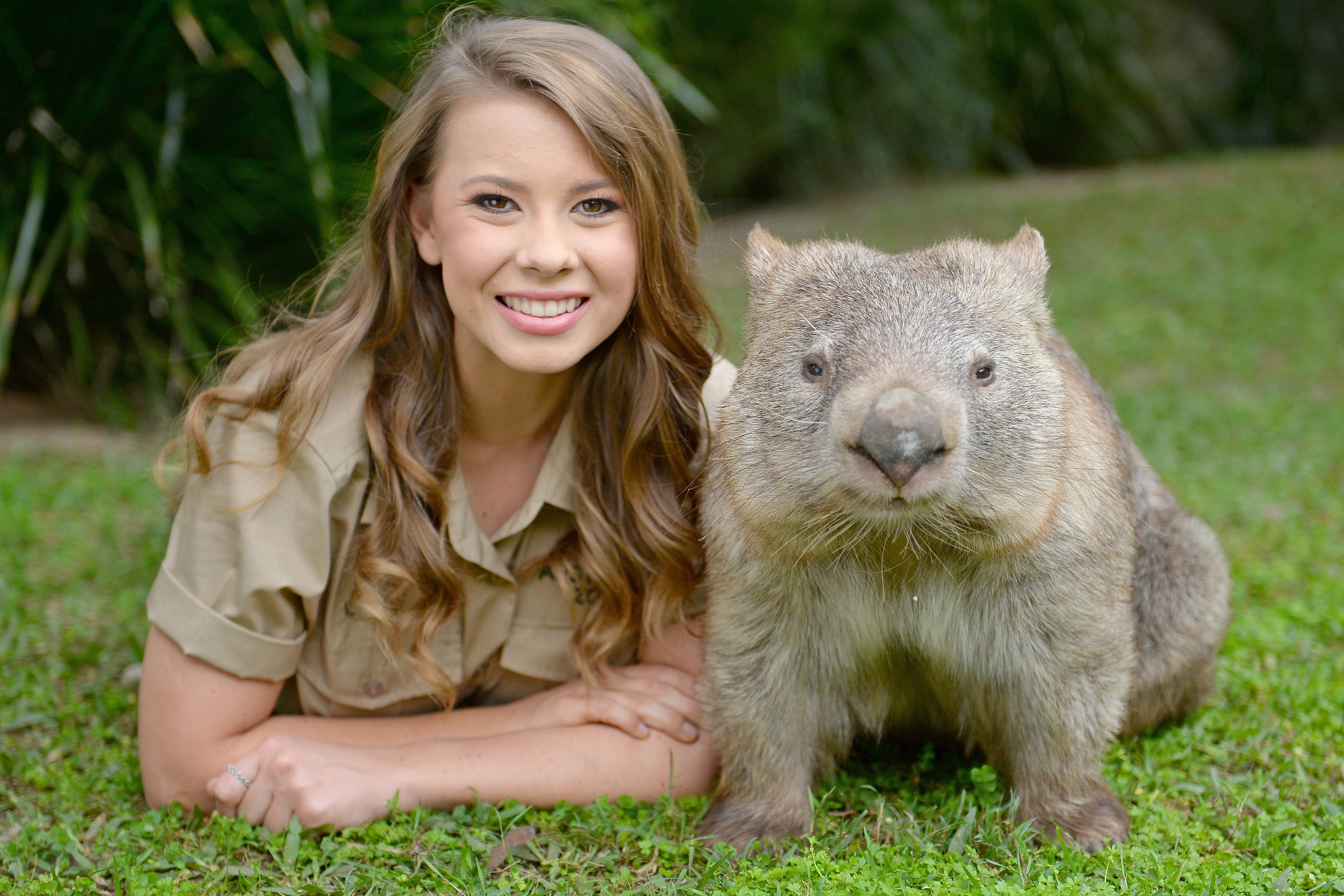 bindi irwin australia zoo tour