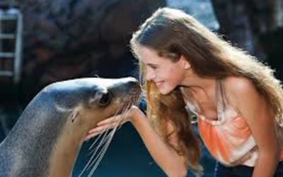 Seal Encounter at SEA LIFE Sunshine Coast