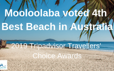 MOOLOOLABA in BEST 5 BEACHES in AUSTRALIA!