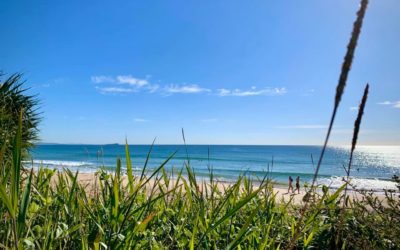 A relaxing Sunshine Coast holiday is just a click away